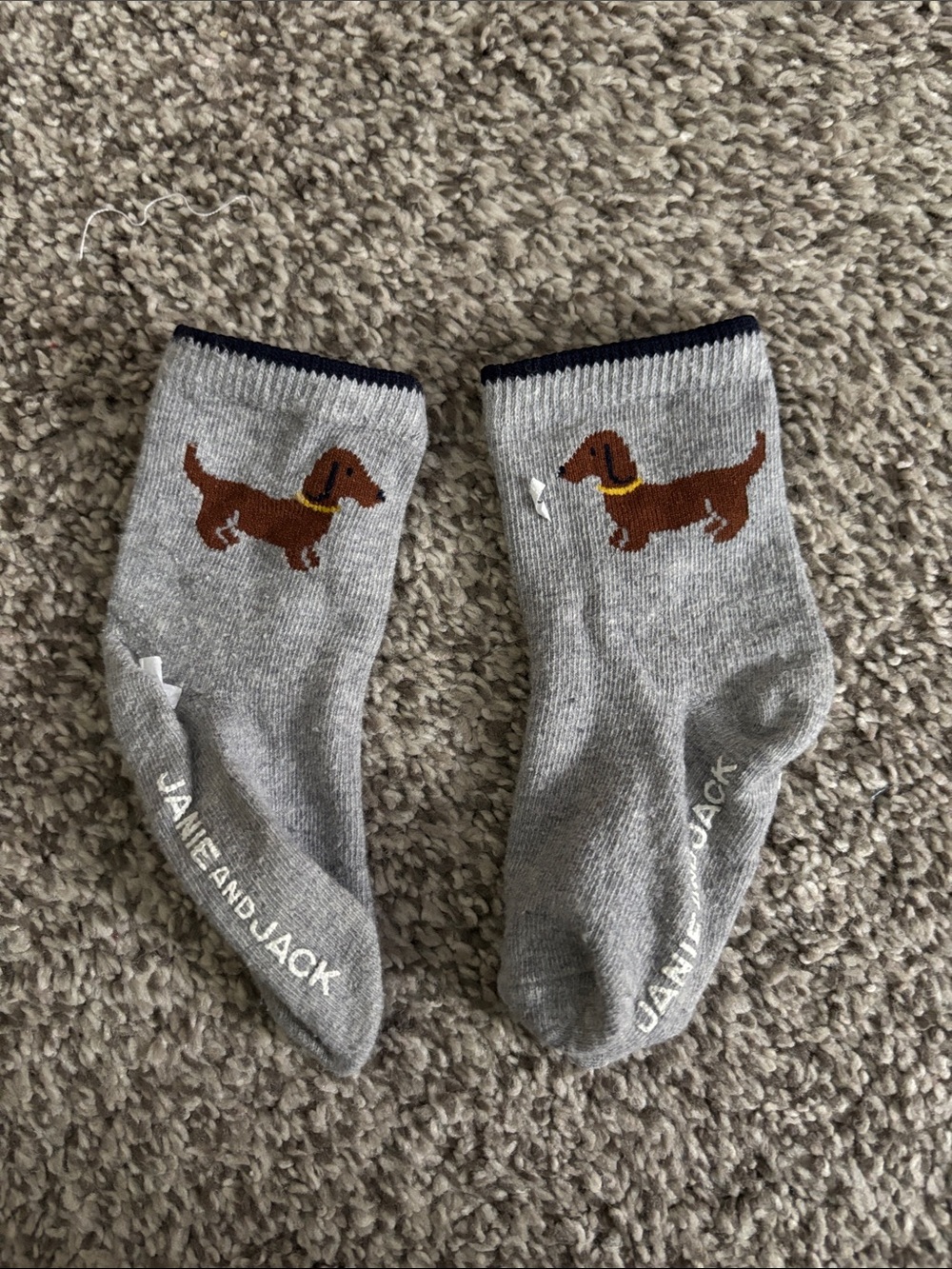 Janie and Jack Grey Socks with Brown Dachshund